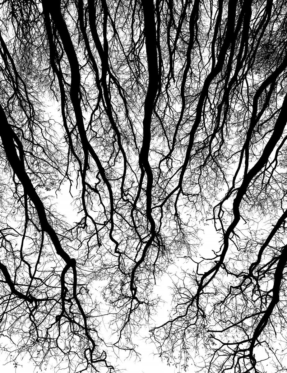 Jesse Draxler // Misophonia