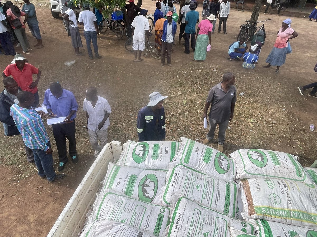 cottcozw's tweet image. Cotton inputs distribution for the 2025/26 season is currently underway in Machiva, Jerera, with farmers receiving their allocations.
#TransformingCommunities