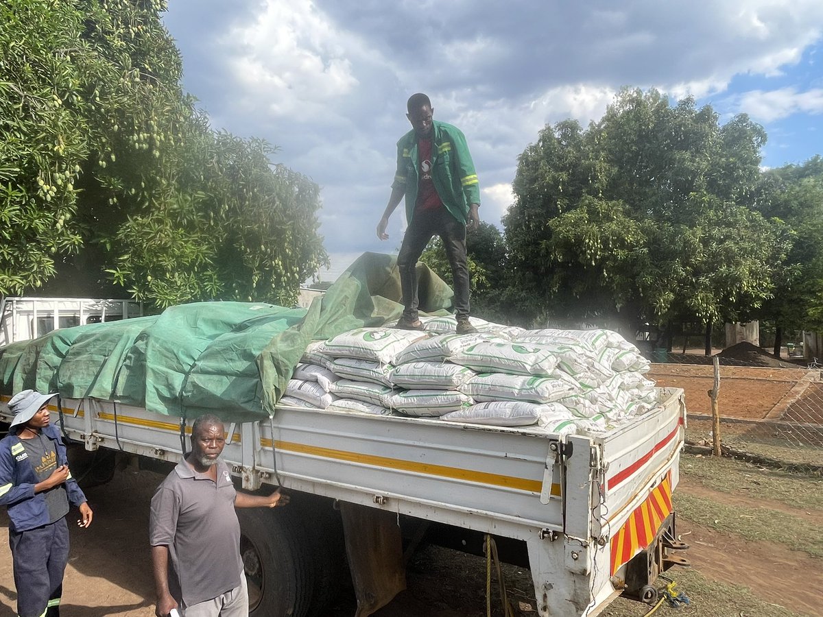 cottcozw's tweet image. Cotton inputs distribution for the 2025/26 season is currently underway in Machiva, Jerera, with farmers receiving their allocations.
#TransformingCommunities