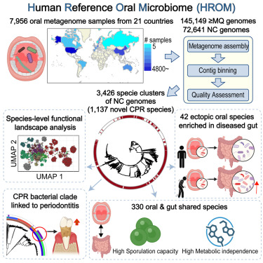 GenTechSci's tweet image. Findings suggest a correlation between ectopic oral microbes and conditions ranging from cardiovascular disease to liver or intestinal conditions...
#geneticresearch #oralmicrobiome #sequencing
hubs.la/Q03SNG7g0