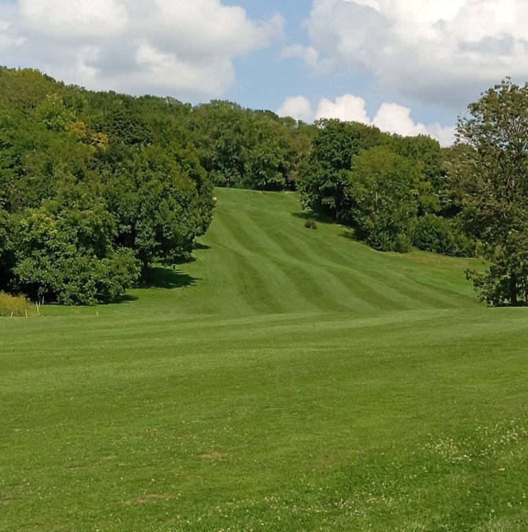 Before ➡️ After. Nutri DG delivering a noticeable difference in turf quality and performance.

📍 France
📸 Thibaut Sebbaghi

#TheAndersonsPro #BeforeandAfter #Golf #TurfCare #GolfVibes #GolfMaintenance #CourseLife