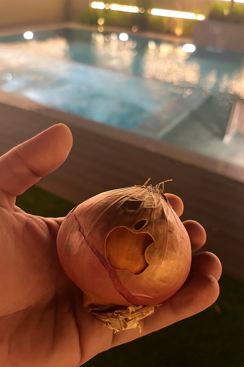 Jeremybtc's tweet image. Selling this Apple onion for $500

Limited time only