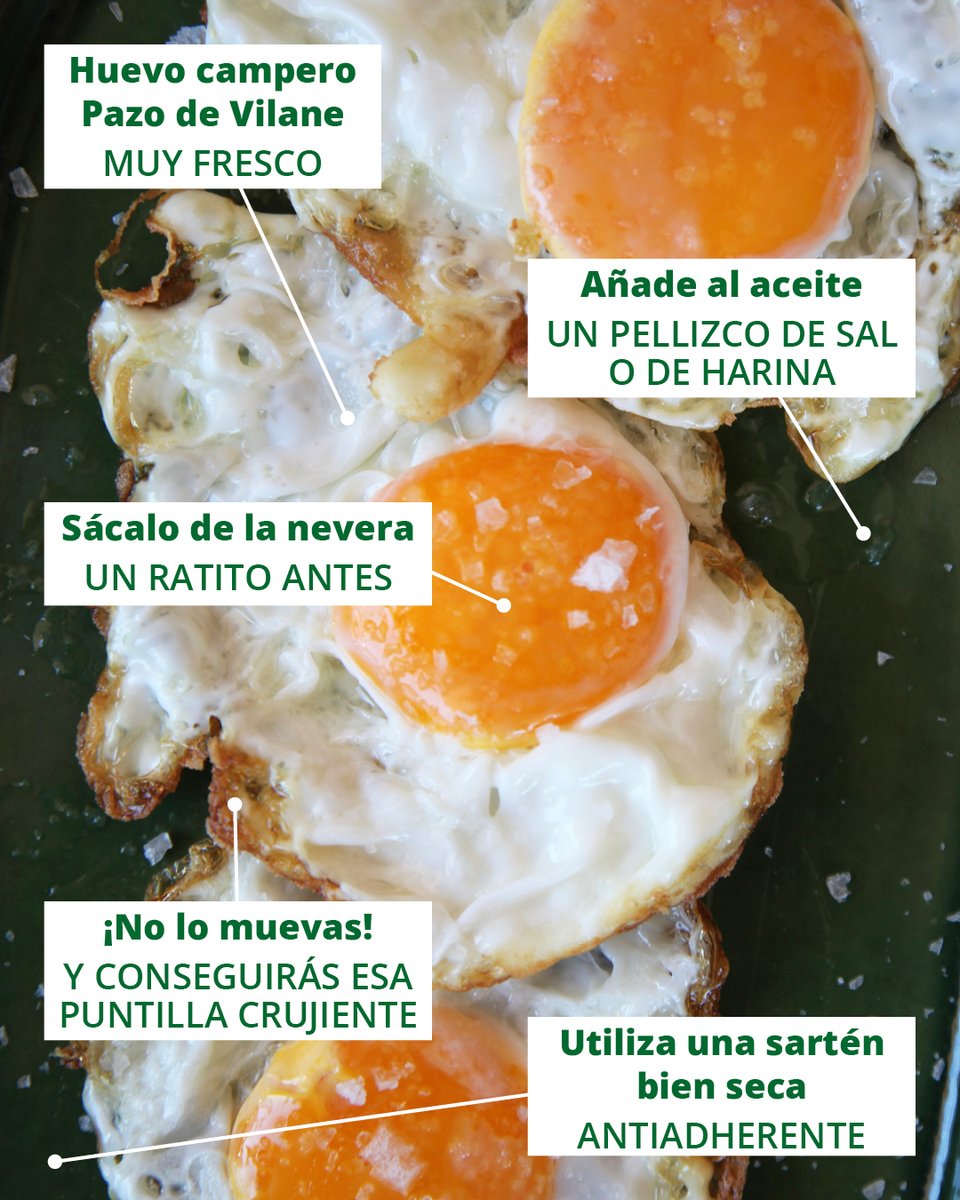 PazodeVilane's tweet image. 🍳 Freír un huevo es todo un arte… y en Pazo de Vilane te contamos cómo dominar la técnica.
Porque no todos los huevos se fríen igual 😉
Si quieres conseguir un huevo frito con puntillita dorada, una yema cremosa y sin salpicar la cocina con aceite, toma nota de estos trucos👇