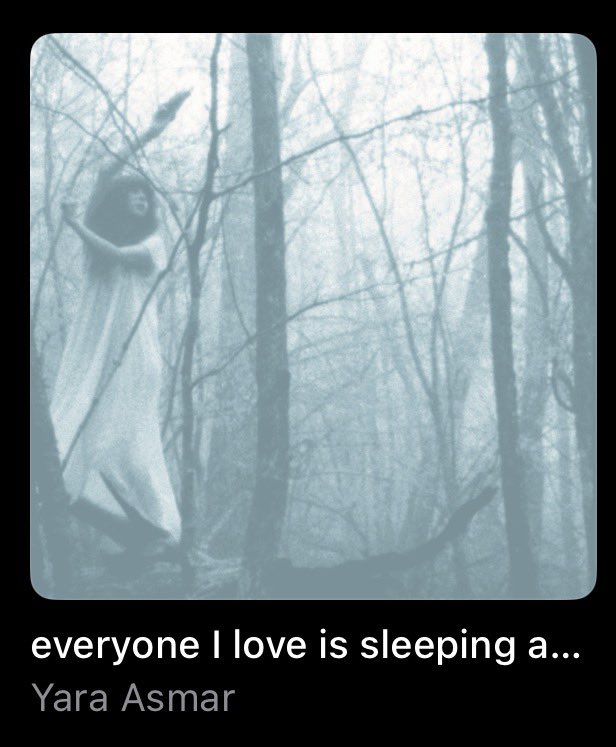 某K@北新地 tweet media