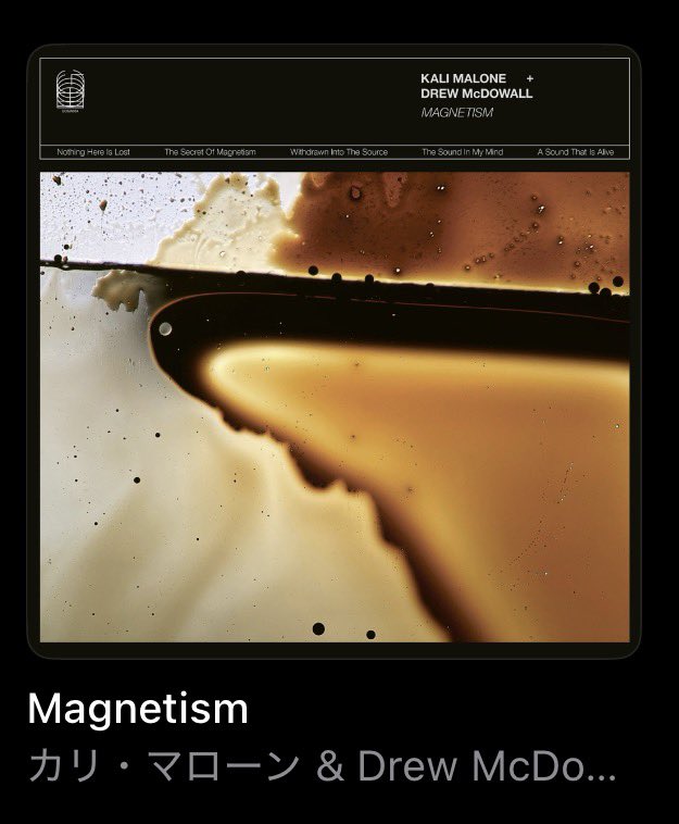 某K@北新地 tweet media