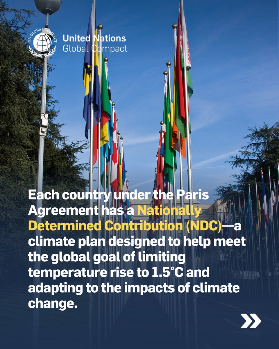 UN Global Compact tweet media