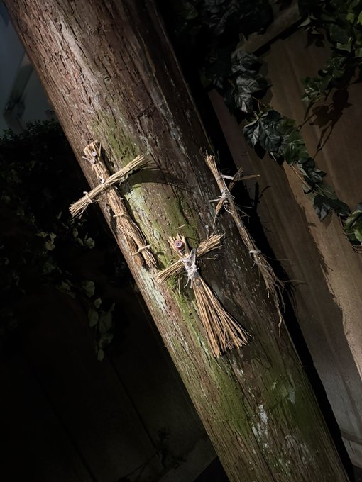 コンカフェ あるこほりっく 秋葉原院のツイート