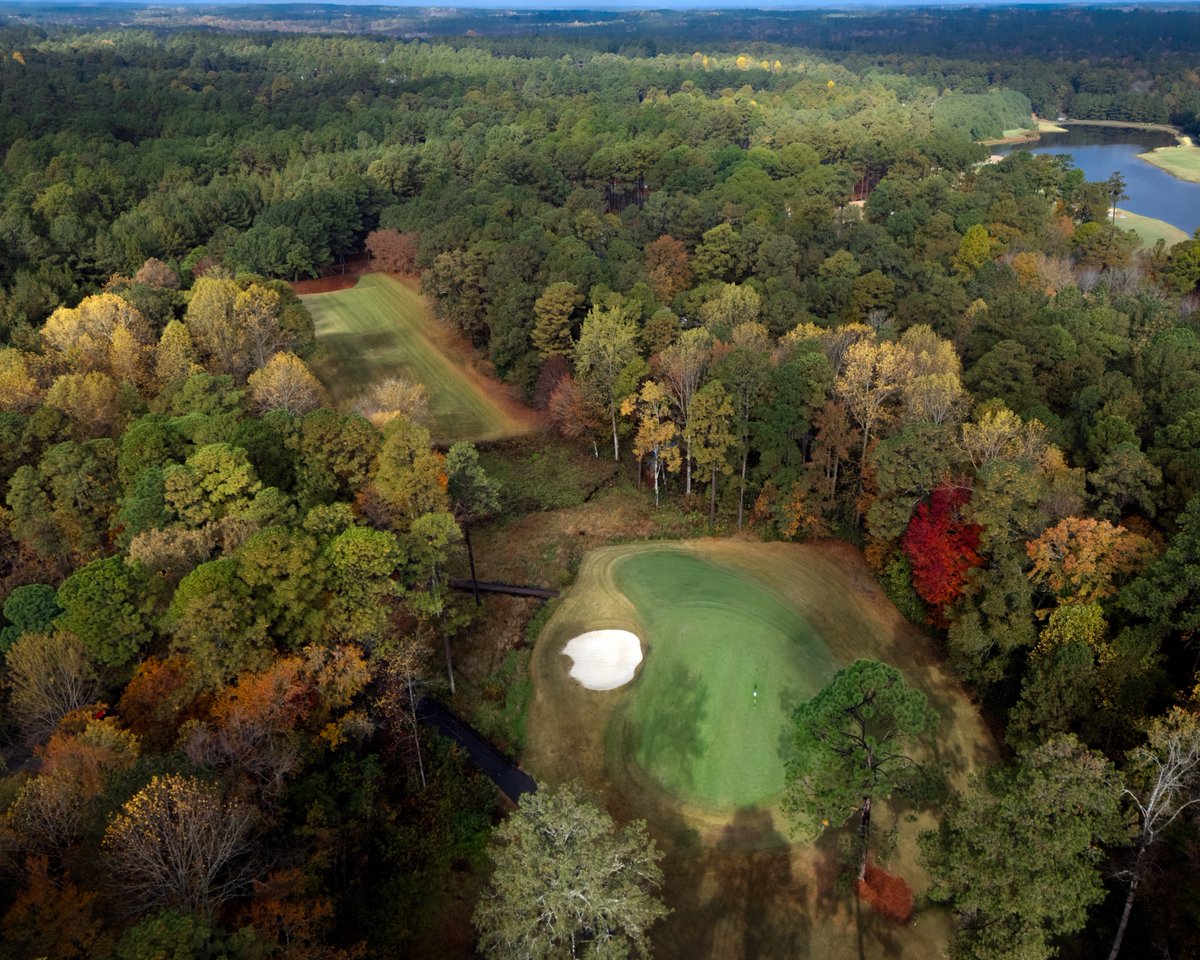 Wayne Freedman tweet media