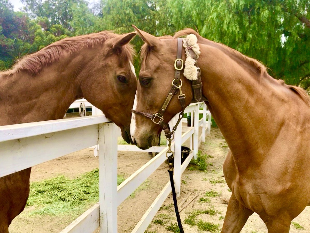 IndependentRed4's tweet image. Love thy Neighbor 
#WednesdayWisdom