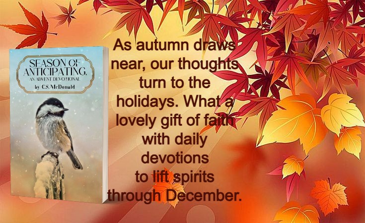 Adent is almost here! So is the perfect gift for your heart. SEASON OF ANTICIPATING, An Advent Devotional a 25-day devotional to prepare your heart for Christmas. I'm so honored to say another Bible group is using the book for Advent!🥰
Here's the link: amzn.to/4fidpP7 💞