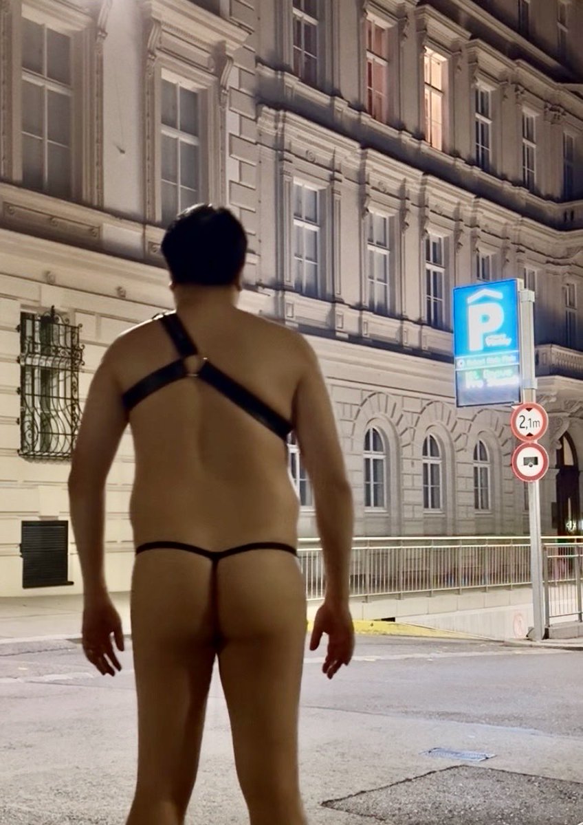 ThongCuckYVR's tweet photo. Vienna Humiliation StreetWalk with my ⁦@gregghomme⁩ harness and GString

#Public #thong #exhibitionism #ass #whaletail #maletail https://t.co/6KGW7KfAs3