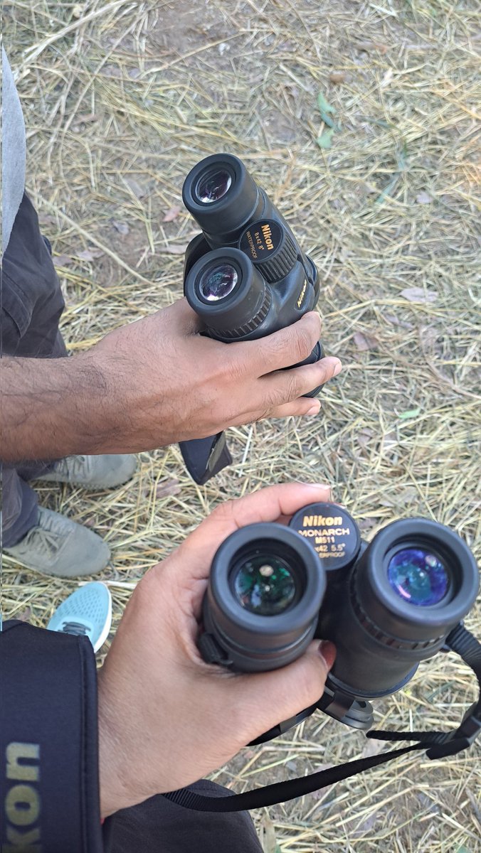 Manjari Jain tweet media