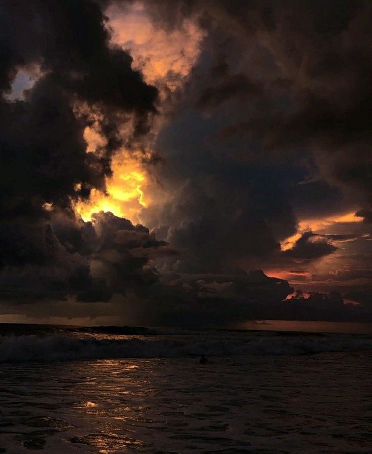 ancilladominii's tweet image. 