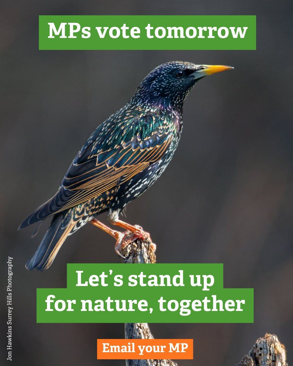 Birmingham & Black Country Wildlife Trust tweet media