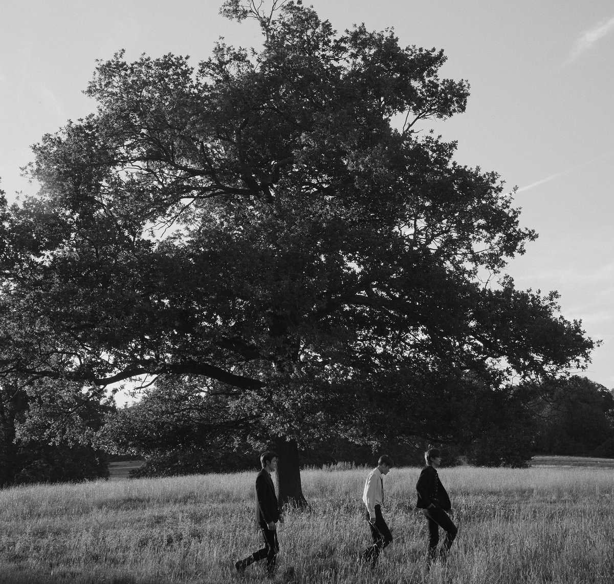 pj1125_33's tweet image. มีใครอยากอ่านนิทานคัมแบ็คนี้มั้ย 555 มันมีเหตุผลที่ทำไมจับคู่ 3-3 เช่นนี้ อยากรู้อ่านต่อในเธรดเลยจ้า 
#RIIZE #라이즈
#RISEandREALIZE
#Fame #RIIZE_Fame