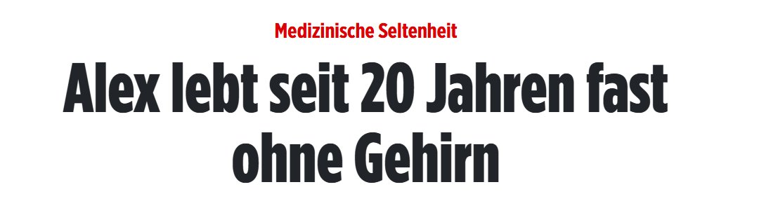 Wolkenzottel ☁️ tweet media