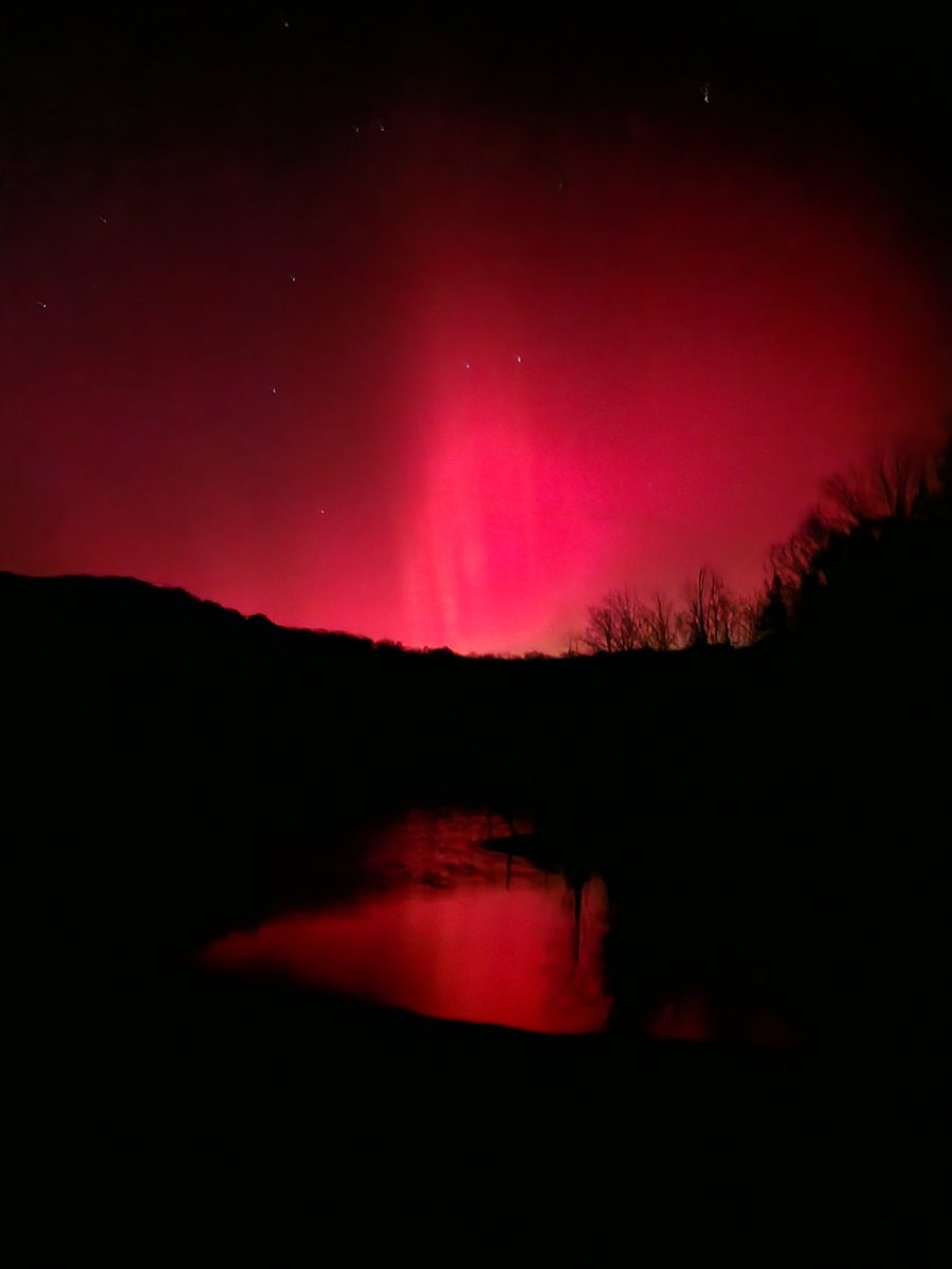 Sarah Kendzior tweet media