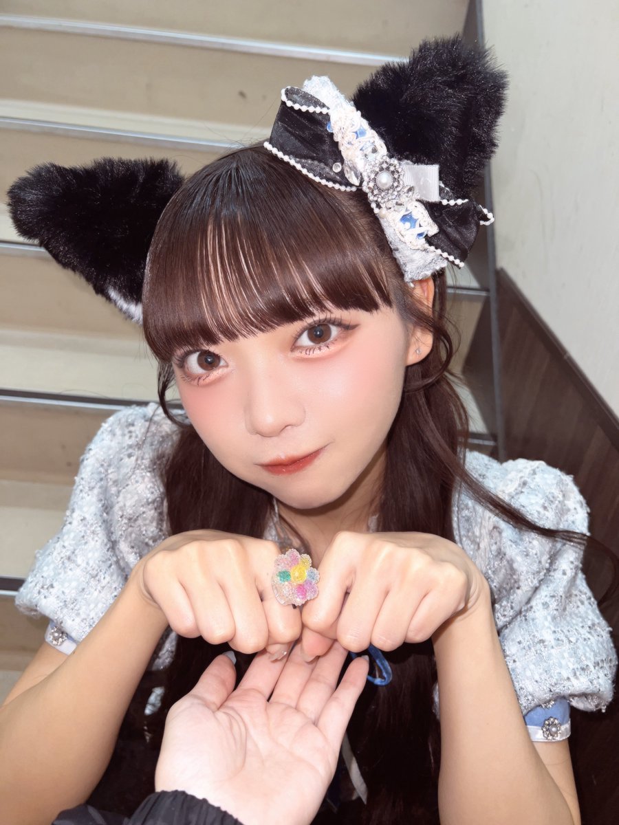 himeri_momiyama's tweet image. 猫系かのじょ？ฅ ˆ.  ̫.ˆ ฅ

 #高嶺のなでしこ #たかねこ #ひめんしょん。