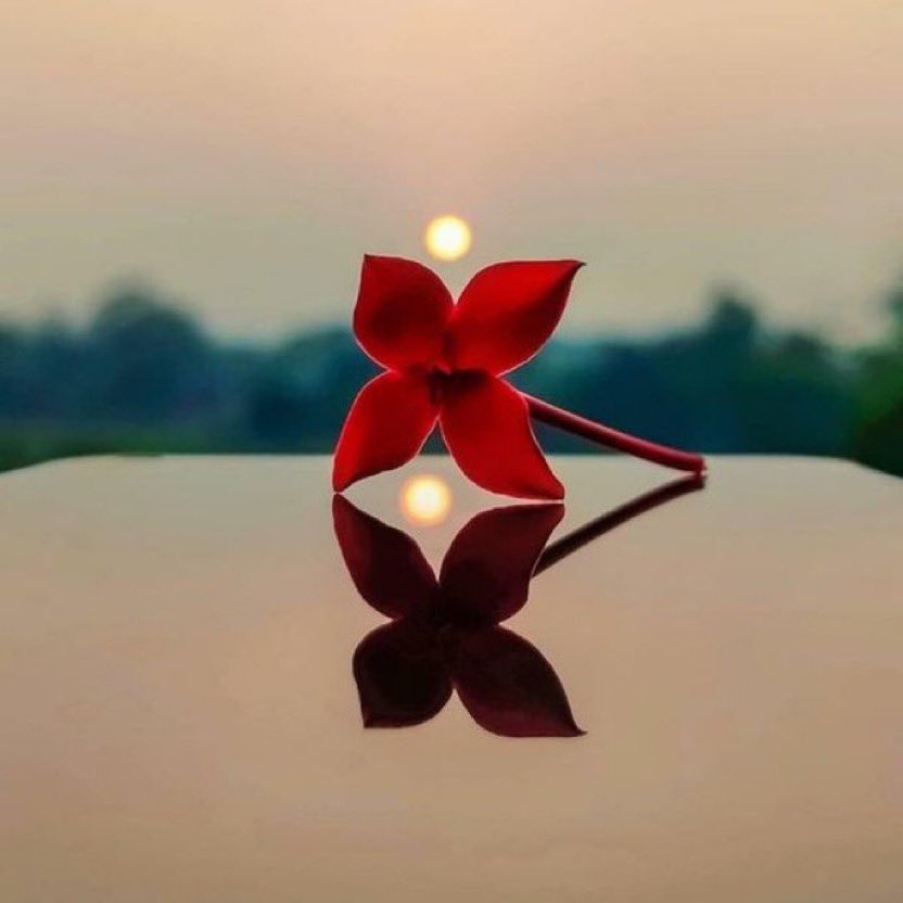 ֆ αɹ̣ɹ̤᎗බ⅃І͛ tweet media