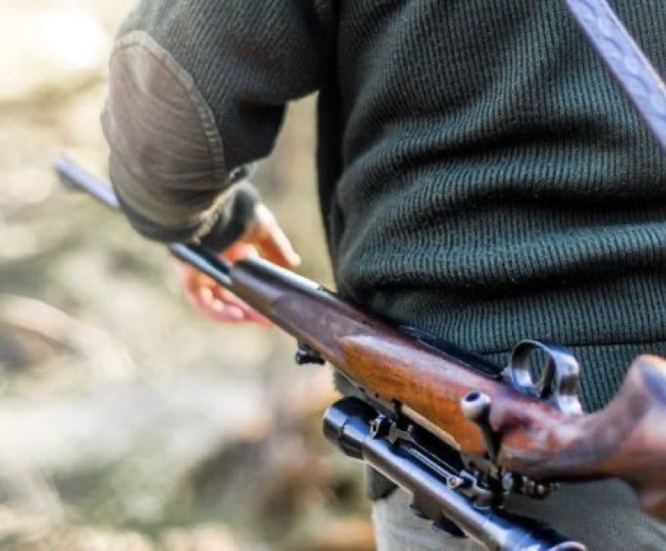 🌐 ᴛʜᴇᴘᴏʟᴀɴᴅɴᴇᴡs 🌐 tweet media