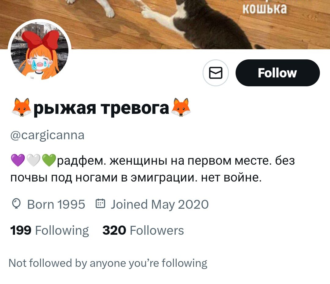 маша 💚 tweet media