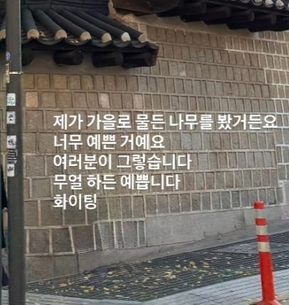 수영언니 인스스 보고 감동받음..☘️