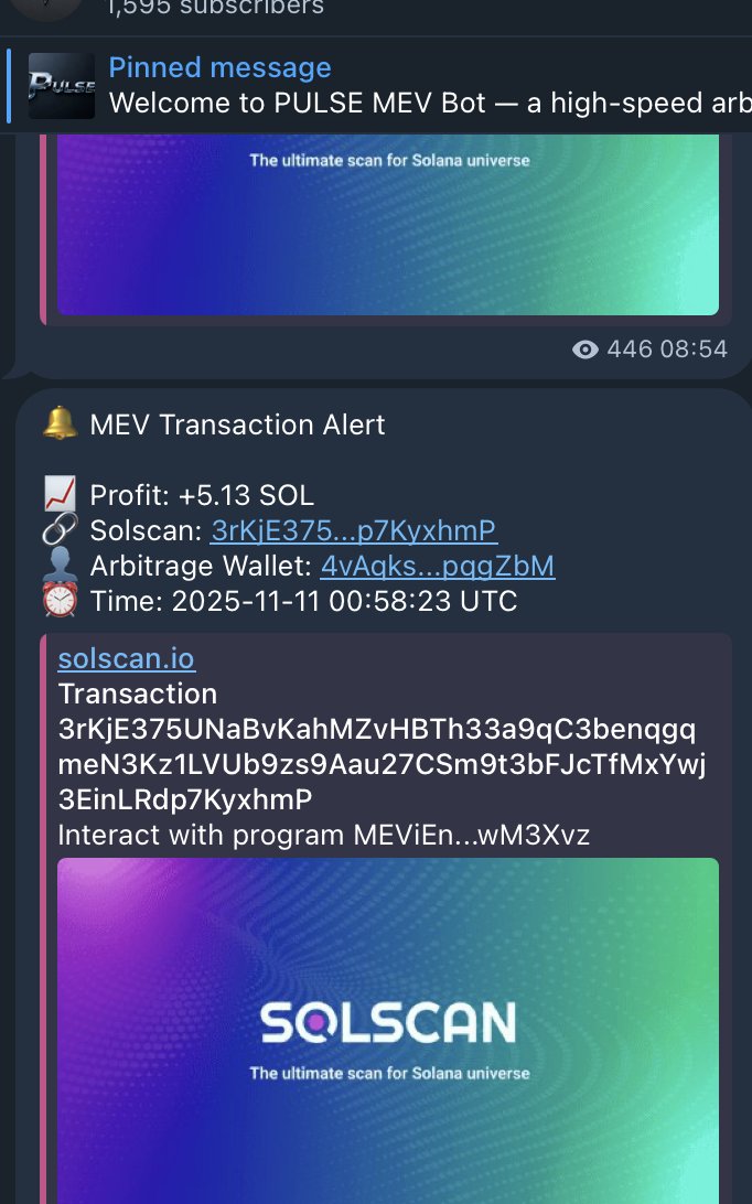 PULSE_Mev_Bot's tweet image. We never stop.
PULSE Mev Bot.
#Solana #Web3 #PULSE #Arbitrage #Crypto