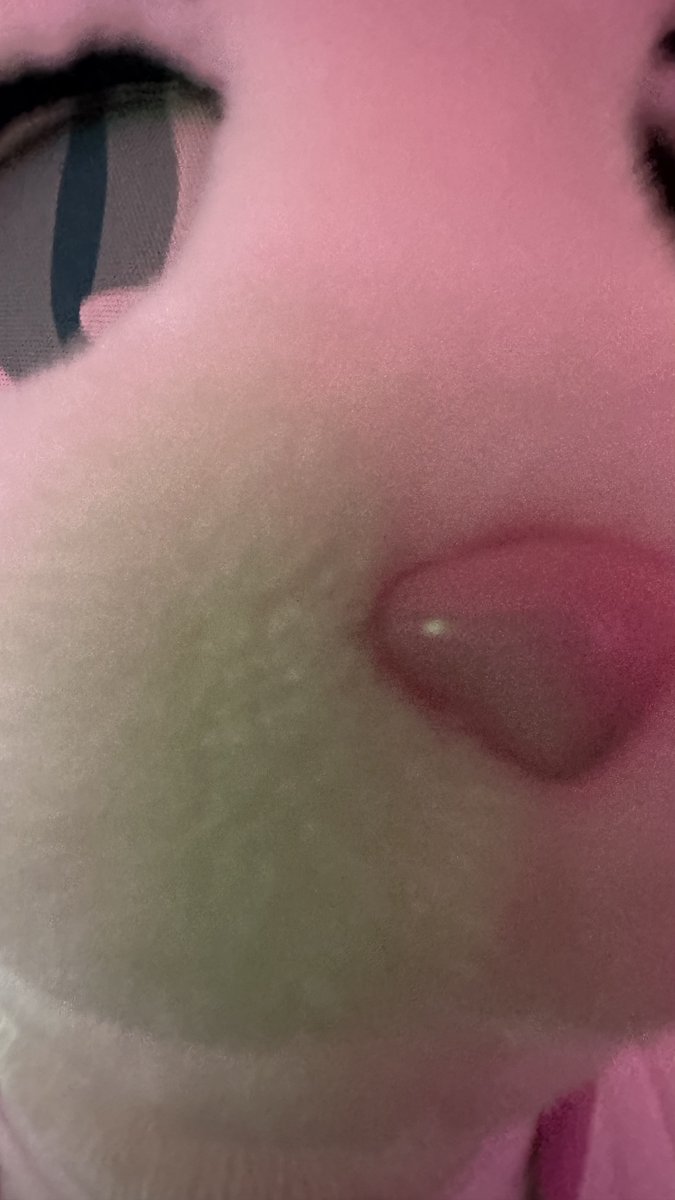 ねこおにドアップになりがち

<a href="/Yuki_Nekooni/">ユウキ⚓️🐱 𝙉𝙚𝙭𝙩»JMoF2026</a>