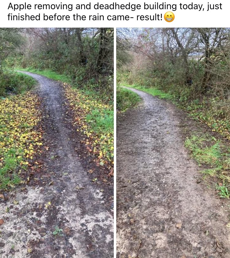 BlackpoolCT's tweet photo. #NorthBlackpoolPondTrail @GroundworkCLM @BpoolCouncil https://t.co/YbZ1t6aYiT
