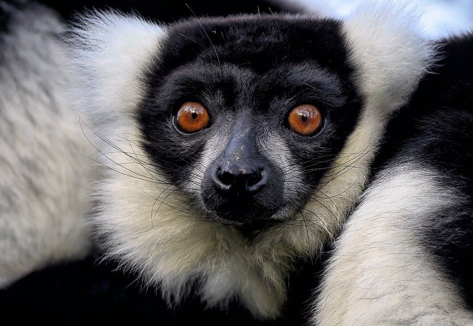 Quite Interesting tweet media