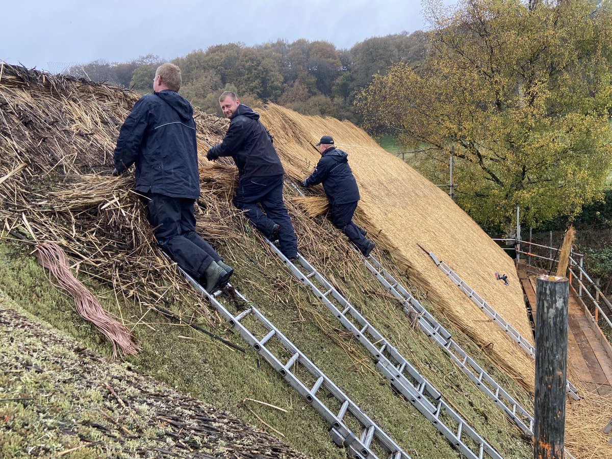 masterthatcher2's tweet image. Michal (nearest camera), Daniel and Rafal on our latest project in #Cheshire.  With the onset of wetter weather we only strip in sections that can be quickly thatched in so as not to leave too much roof exposed to the elements… #Thatching.