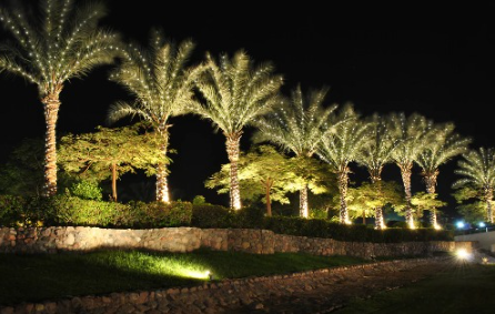 mbgroup7's tweet photo. شركة مومار قطر - قطرية بالكامل.
مجموعات بطاريات مخارج الطوارئ معتمدة من هيئة تنظيم الاتصالات القطرية
أعمدة الإنارة، الصاري العالي، ومصابيح الصوديوم
مشغلات إطفاء الحريق وصمامات التحكم
مستلزمات الفعاليات وتأجير عربات الجولف
محطات شحن السيارات الكهربائية وأنظمة الطاقة الشمسية https://t.co/HFMj0MjK1I