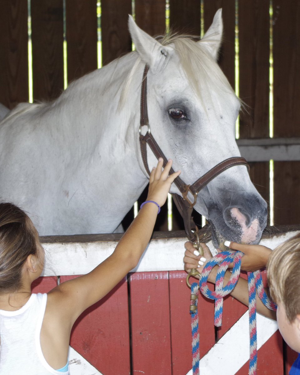 We’re saddened to share the passing of Tsaber, Bill Frederick Park’s beloved horse. 

At 34, he lived well beyond the typical lifespan for horses and brought joy to countless visitors. Thank you to everyone who cared for and loved him over the years. 🤍