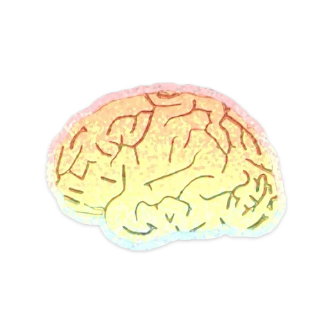 Headstash Hash tweet media