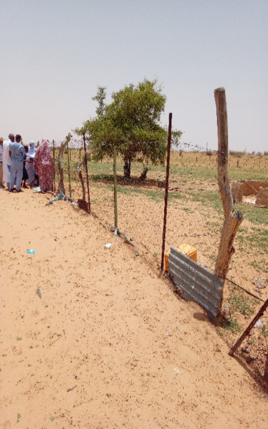 Ruralities52's tweet photo. 👩‍🌾 In Bir El Barka, 80 women from the El Veteh Project lead trial farming despite water challenges. Their teamwork shows how rural women drive sustainable futures.

🔗 https://t.co/CUsLiAlrEp

#RURALITIES #RuralInnovation #Sustainability https://t.co/R8tcER7U0s