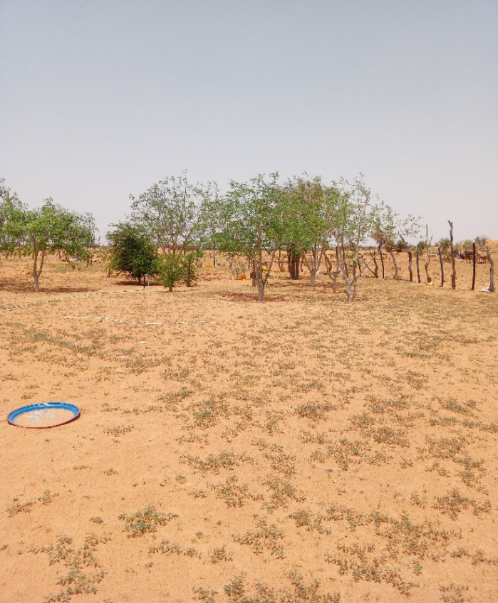 Ruralities52's tweet photo. 👩‍🌾 In Bir El Barka, 80 women from the El Veteh Project lead trial farming despite water challenges. Their teamwork shows how rural women drive sustainable futures.

🔗 https://t.co/CUsLiAlrEp

#RURALITIES #RuralInnovation #Sustainability https://t.co/R8tcER7U0s