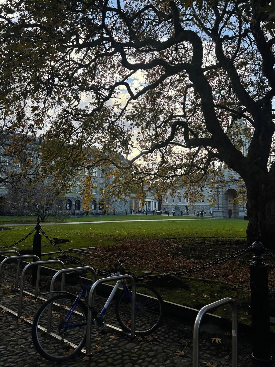 AtlanticProgram's tweet image. Trinity College Dublin is looking beautiful as the campus transitions from autumn to winter 🍂❄️

📷 study_trinity