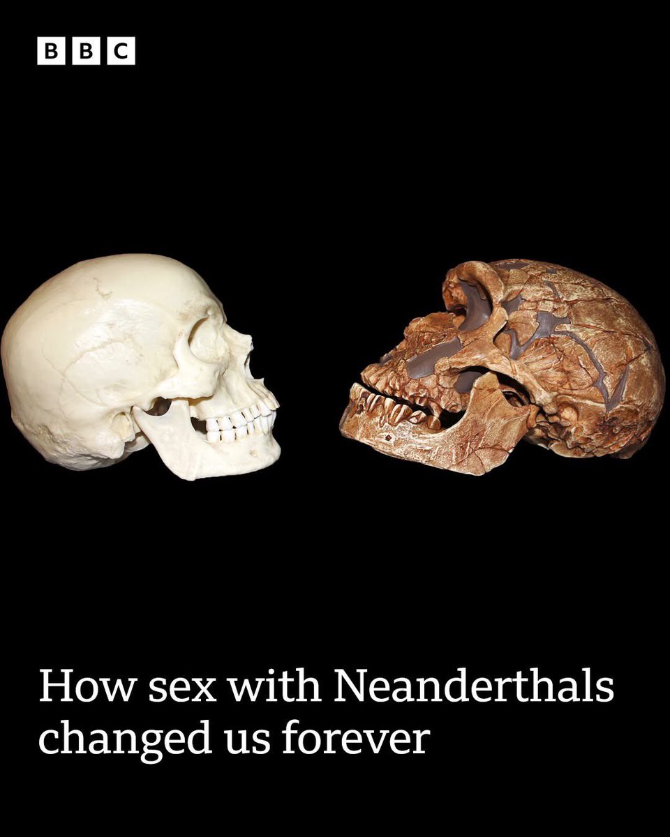 Happy Hump Day to everyone but especially to our freaky ancestors…