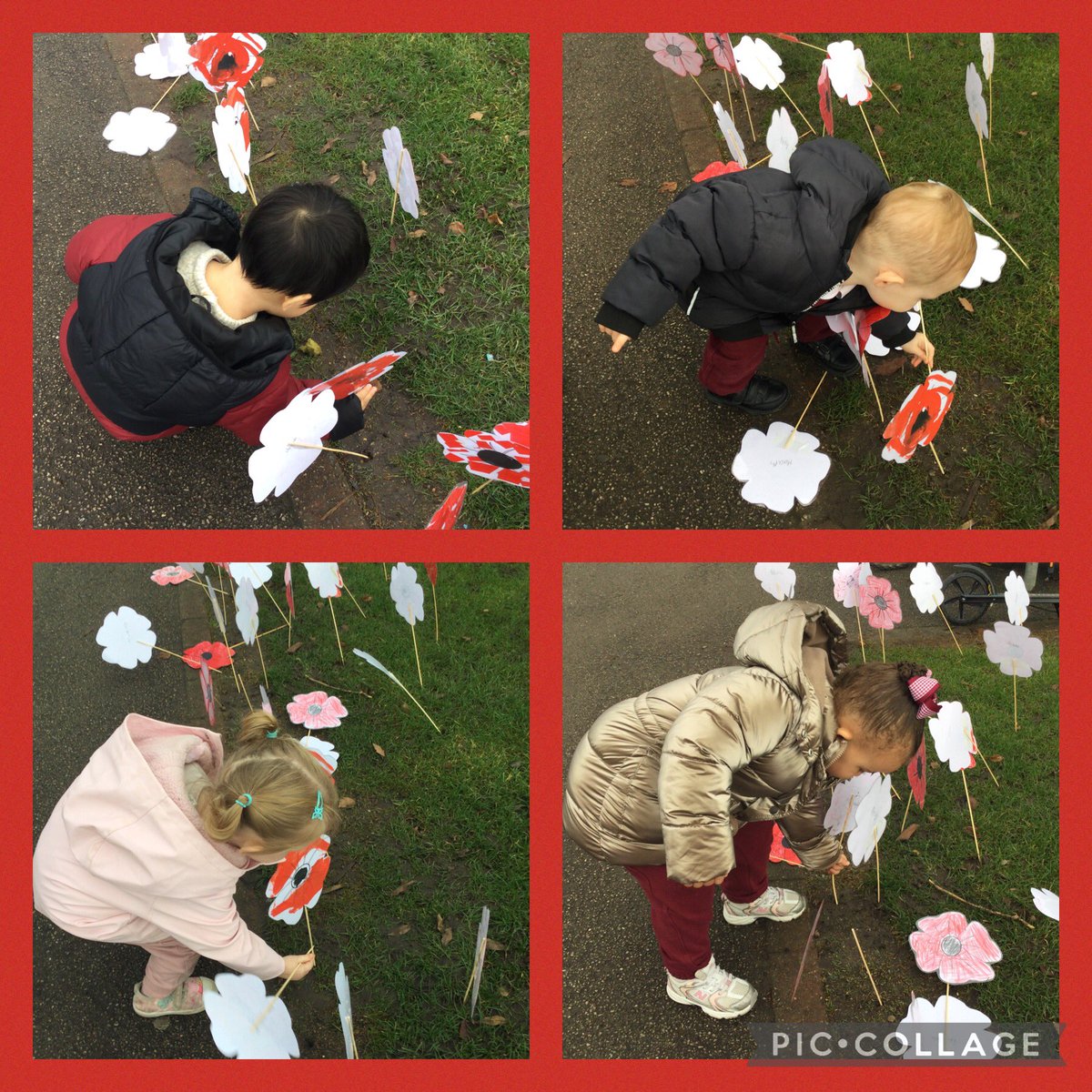 🌈 Little Rainbows tweet media