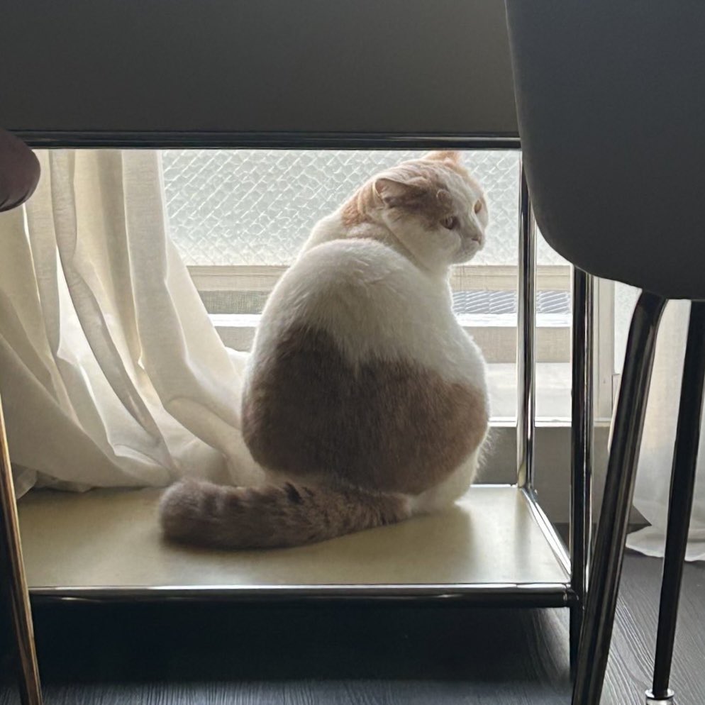 mume (@mmmmiammumemi) / Posts / X