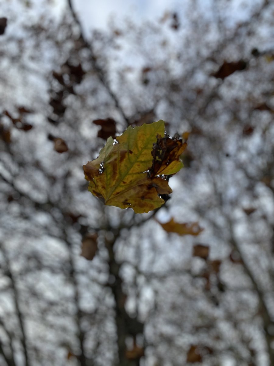 “…so imperfect, so weak, so unspeakably lonely.”

~ Virginia Woolf, The Waves