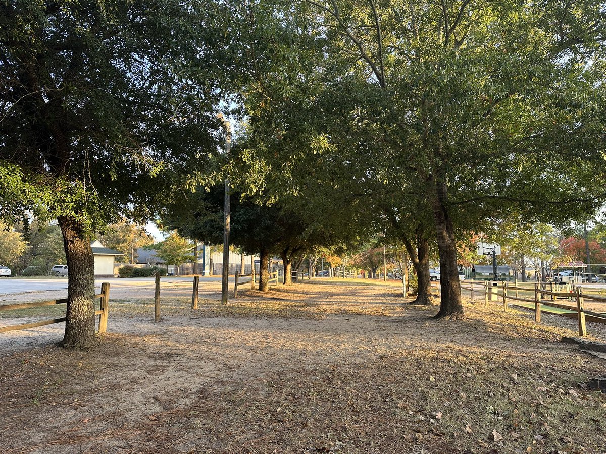 May Voltz tweet media