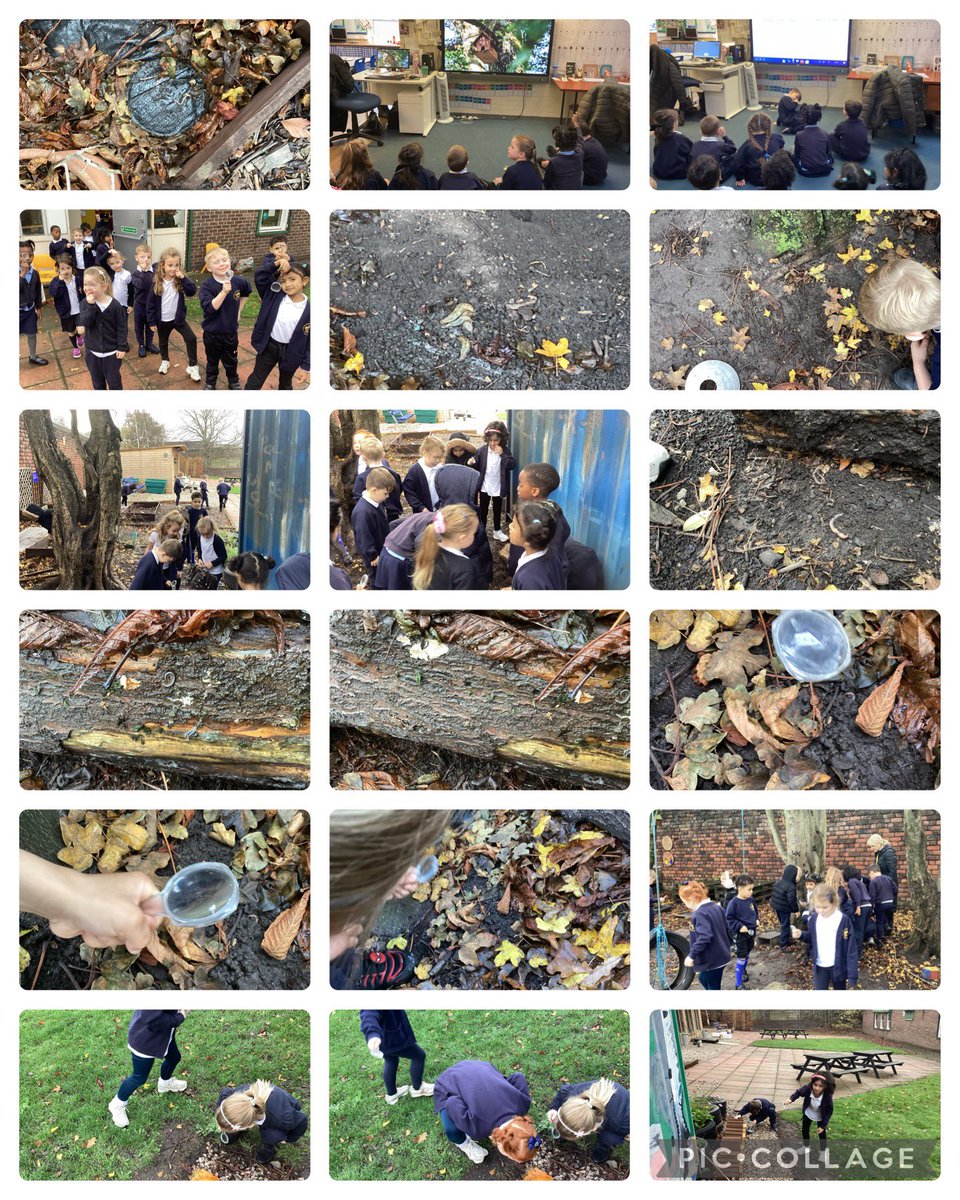We looked for minibeasts outside today and learnt about their habitats. We liked using the magnifying glasses to get a closer look 👀 <a href="/ScienceStEliz/">Science-StElizabeth's</a>