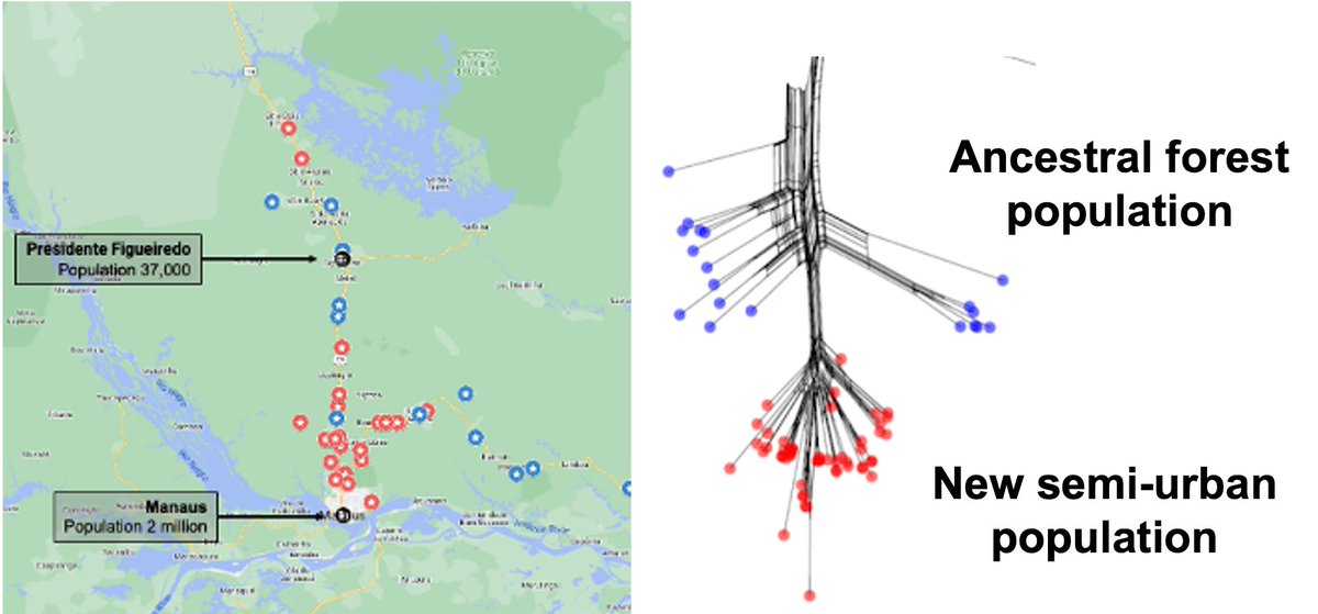 Daniel Jeffares tweet media