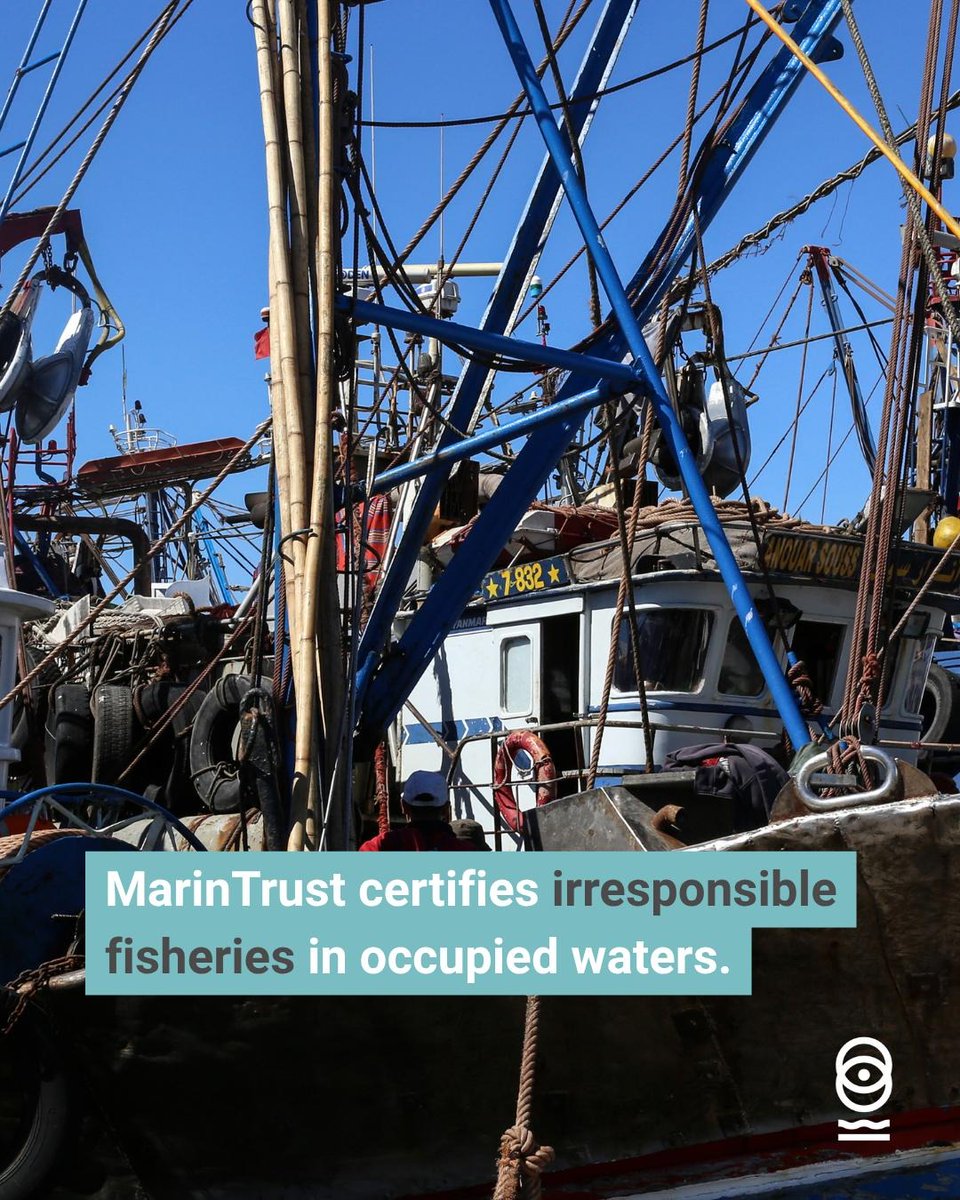 @Vestsahara.bsky.social - Vest-Sahara tweet media