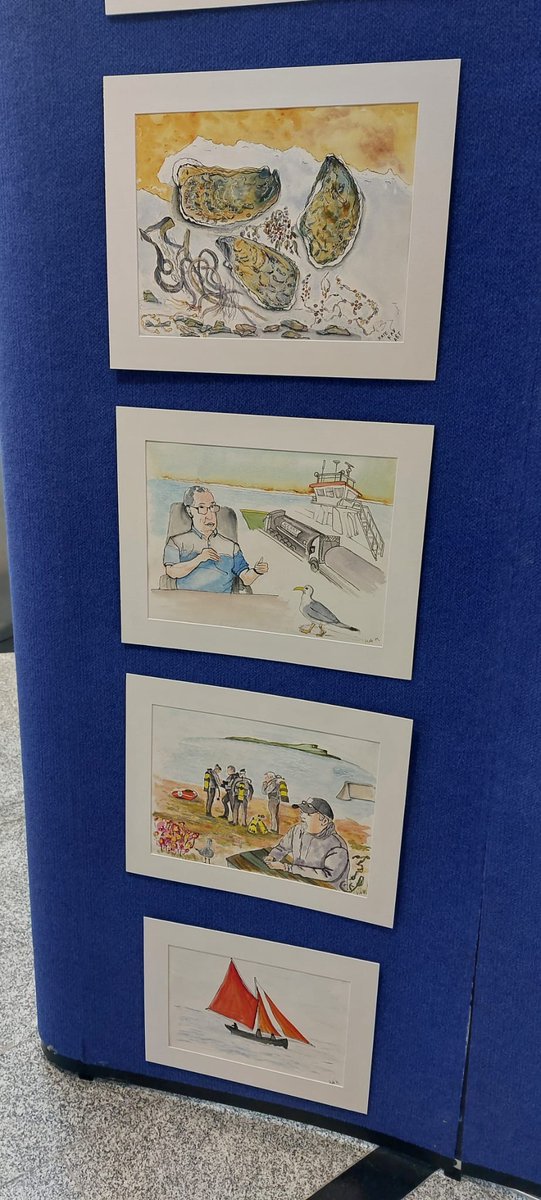 Marine Planning Ireland tweet media