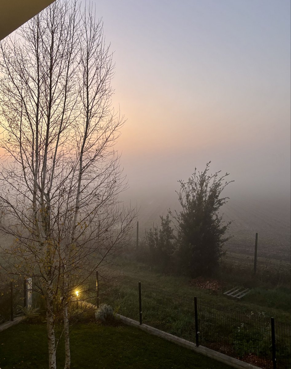 open.substack.com/pub/laura63393…