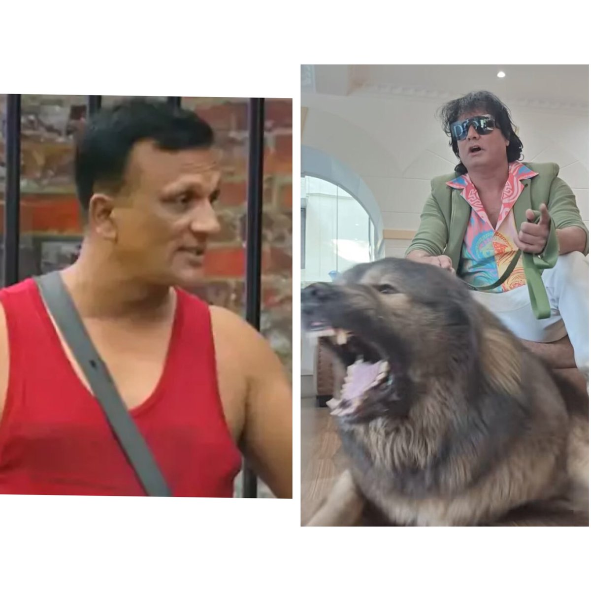 ಬಿಗ್ ಬಾಸ್ ಗೆ ಧೈರ್ಯ ಇದ್ದರೆ ಇವರಿಬ್ಬರನ್ನ 
wild ಕಾರ್ಡ್ ಕೊಟ್ಟು ಒಳಗೆ ಕರೆಸಿ ಒಮ್ಮೆಗೆ. ..!

ಅವನಜ್ಜಿ ಯಾವ ಗಿಲ್ಲಿ - ಪಲ್ಲಿ ಯಾರು ಇರಲ್ಲ 😂
#BBKSeason12