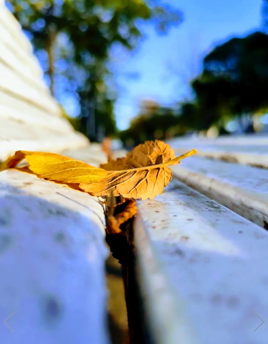 ßlueswërks (@blueswerks) on Twitter photo 