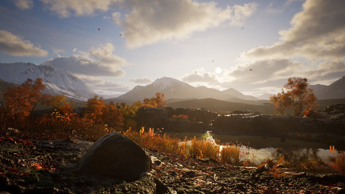 ねこにんげん tweet media